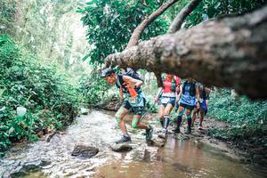 BIB: 
                            <button type="button" onclick="openModal(25372646)" class="btn btn-primary btn-sm float-right btn-popup" data-toggle="modal" data-target=".modal-high-quality">
                        <i class="fas fa-shopping-cart"></i> Add to Cart
                    </button>
                                            <button type="button" onclick="isThisMe(25372646, true)" class="btn btn-success btn-sm float-right btn-popup btn-isme hidden" data-toggle="tooltip" data-placement="bottom" title="นี่คือรูปของคุณใช่ไหม คลิกที่นี่เพื่อเอาเข้าอัลบั้ม">
                        <i class="fas fa-plus"></i> Add to album
                    </button>
                    <button type="button" onclick="isThisMe(25372646, false)" class="btn btn-warning btn-sm float-right btn-popup btn-isnotme hidden">
                        <i class="fas fa-ban"></i> Remove from album
                    </button>